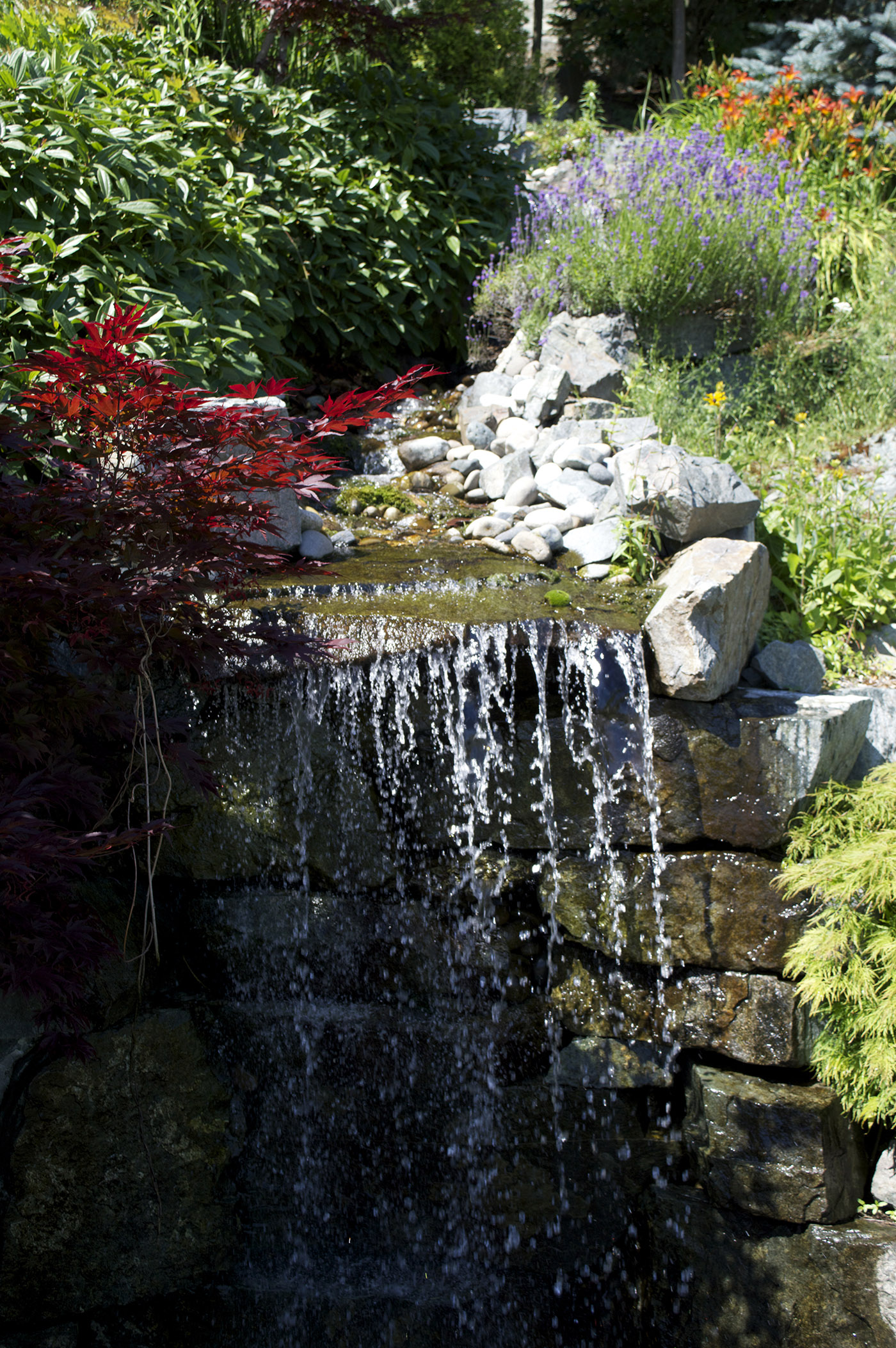 landscaping abbotsford